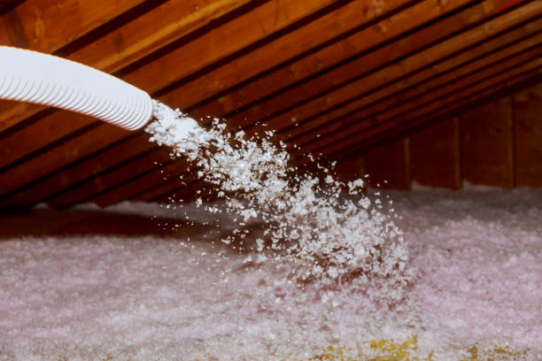Best Home Insulation Services  in Plattsburg, MO