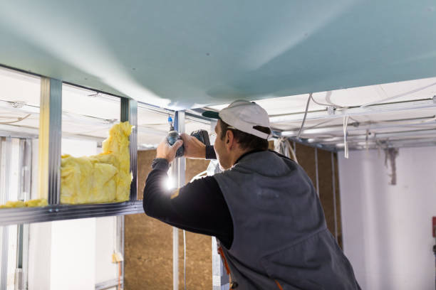 Best Insulation for Commercial Buildings  in Plattsburg, MO