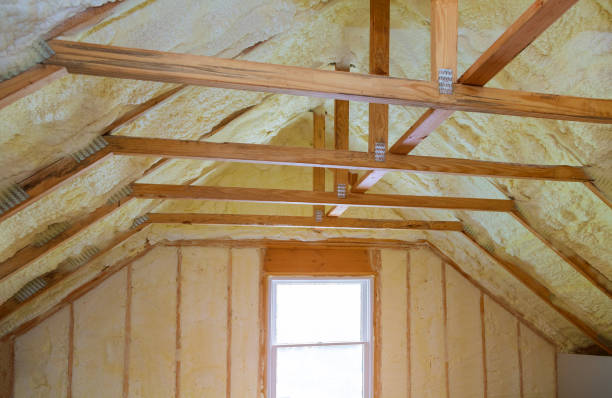Best Affordable Insulation Services  in Plattsburg, MO