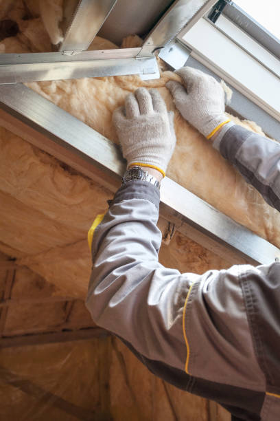 Best Energy-efficient Insulation  in Plattsburg, MO