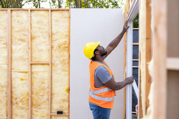 Best Cellulose Insulation  in Plattsburg, MO