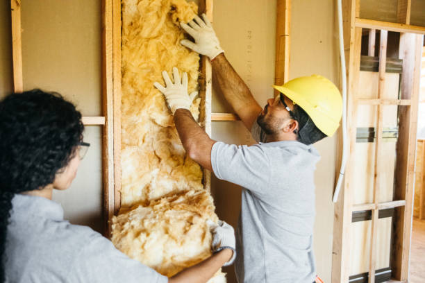 Best Home Insulation Services  in Plattsburg, MO