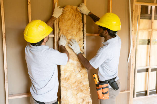 Best Insulation Replacement Services  in Plattsburg, MO