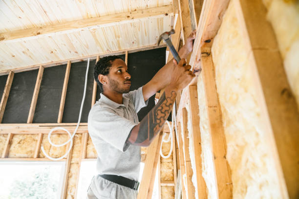 Best Best Insulation Companies  in Plattsburg, MO