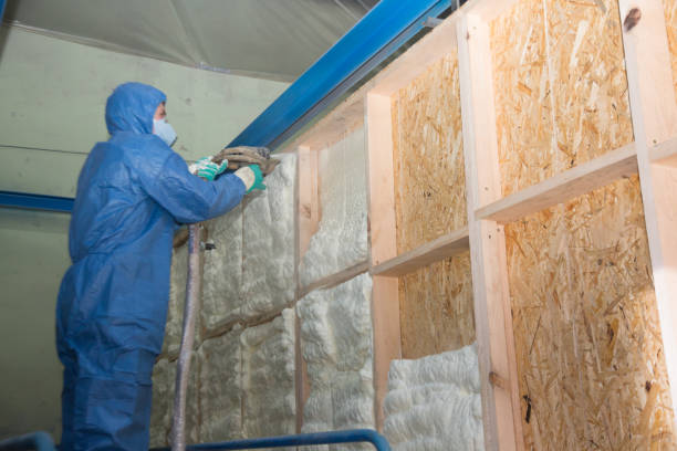 Best Cellulose Insulation  in Plattsburg, MO