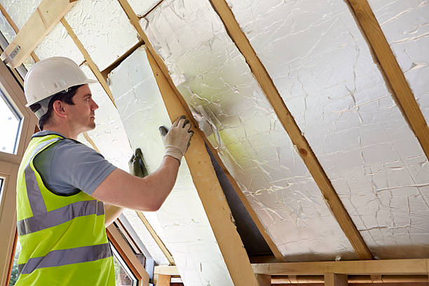 Best Professional Insulation Contractor  in Plattsburg, MO