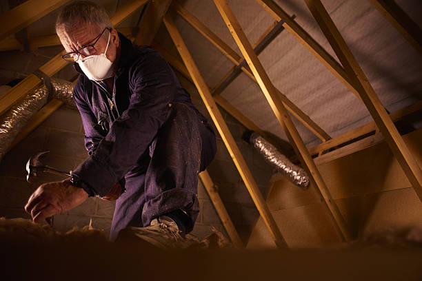 Best Local Insulation Services  in Plattsburg, MO